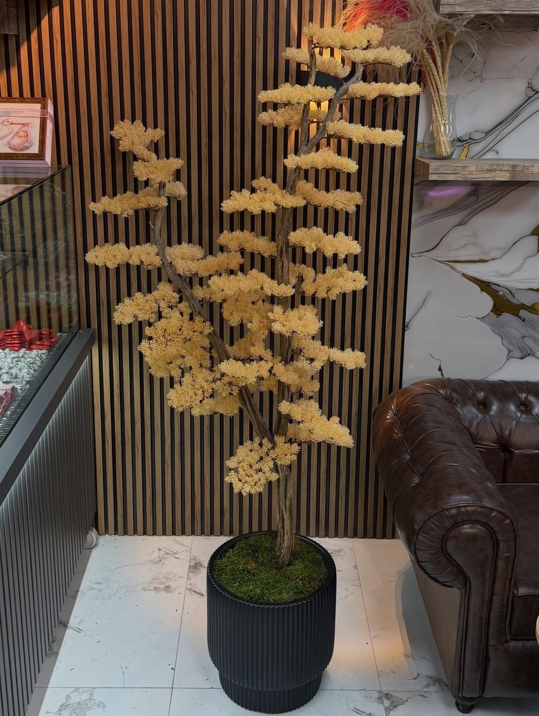 Moss Çiçekçilik Denizli