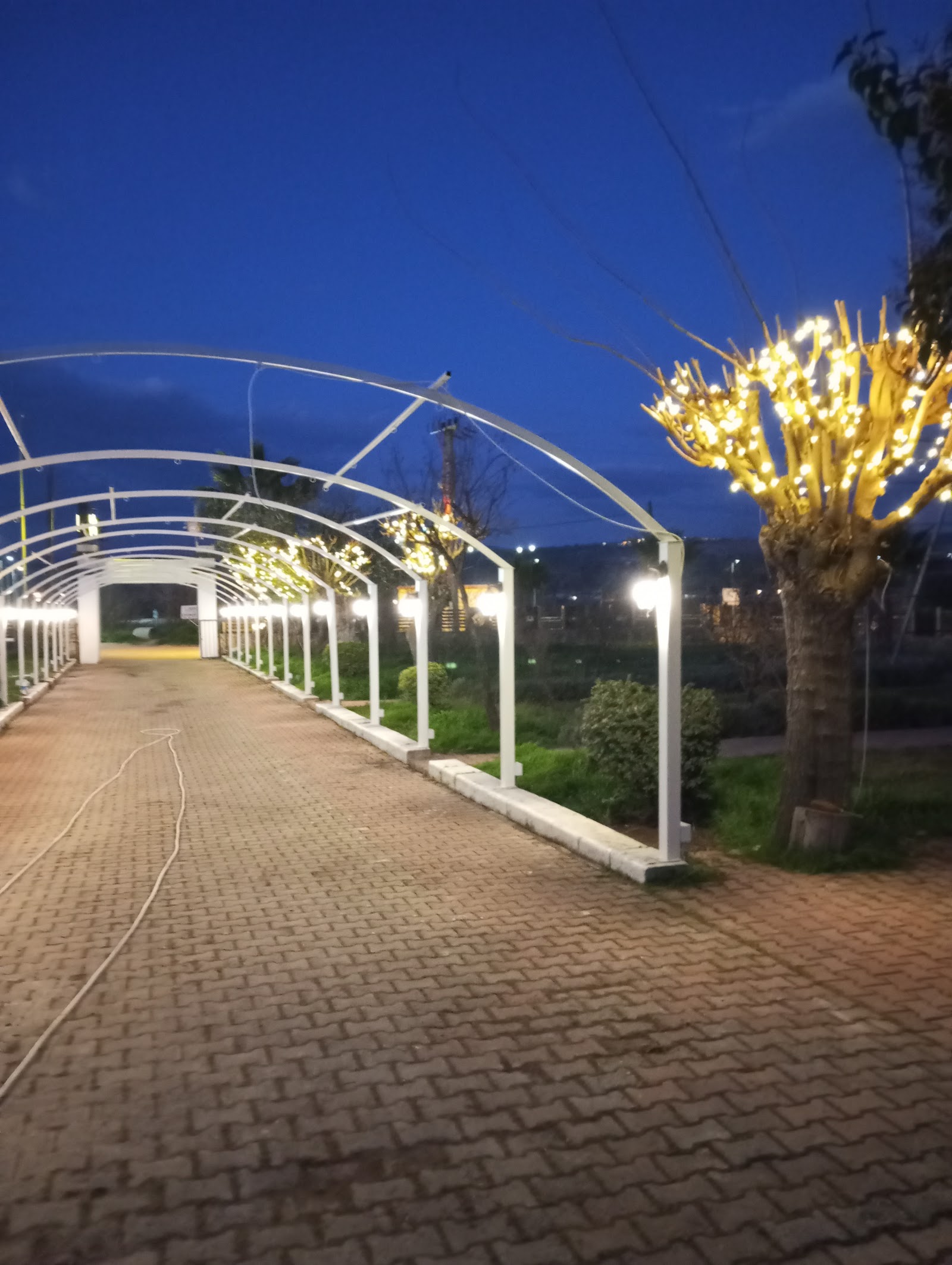 Perla Kır Düğün Davet — Pamukkale, Denizli kır düğünü mekanı görsel 6