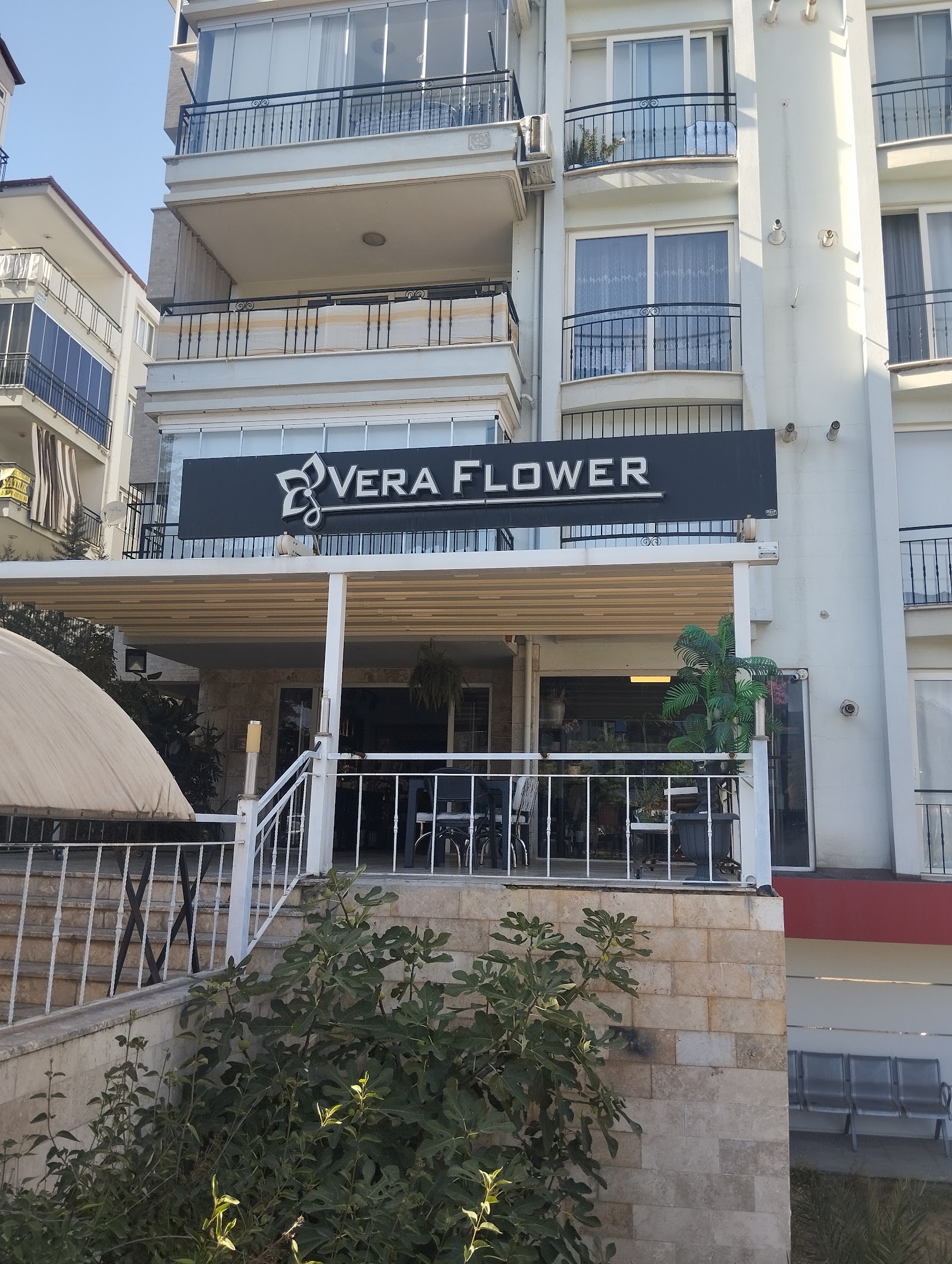 VERA FLOWER