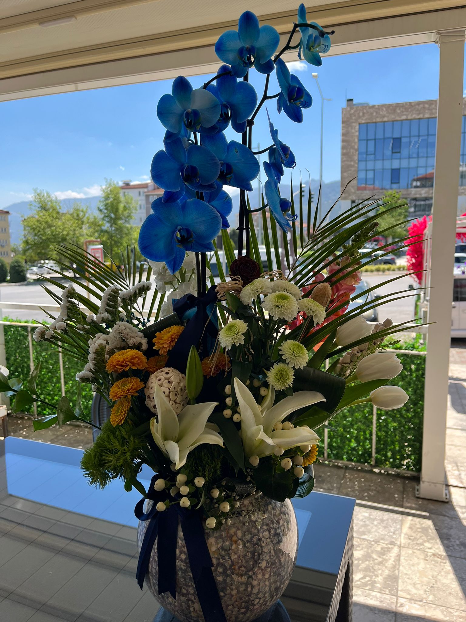 VERA FLOWER