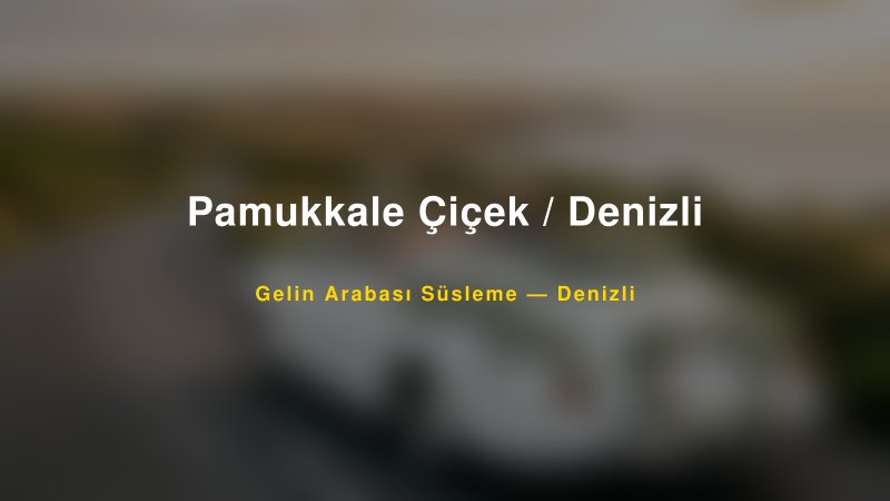 Pamukkale Çiçek / Denizli Denizli Gelin Arabası Süsleme