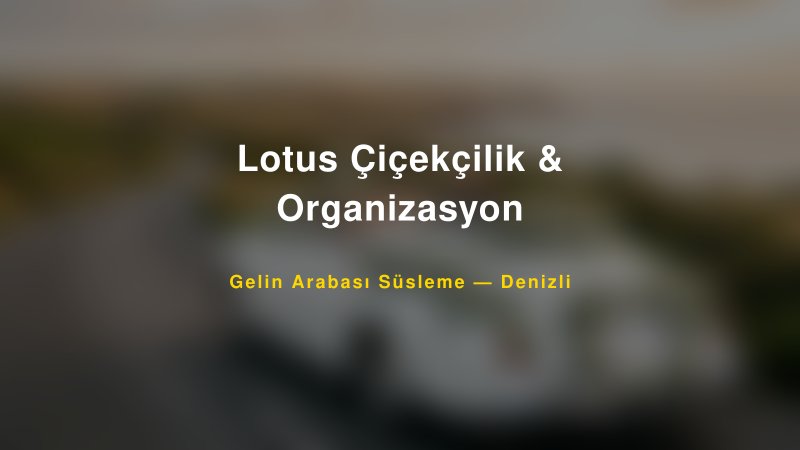 Lotus Çiçekçilik & Organizasyon Gelin Arabası Süsleme Fiyatları — 1